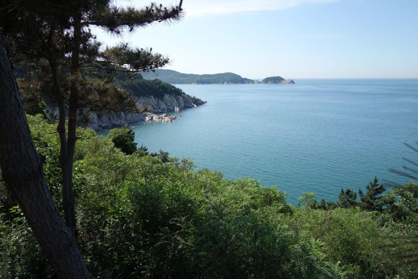 bandros ata 