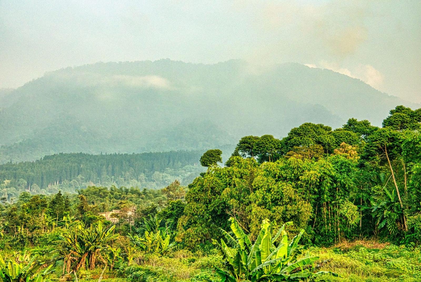 UNESCO Geopark Ciletuh Sukabumi