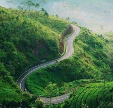 Puncak Buluh