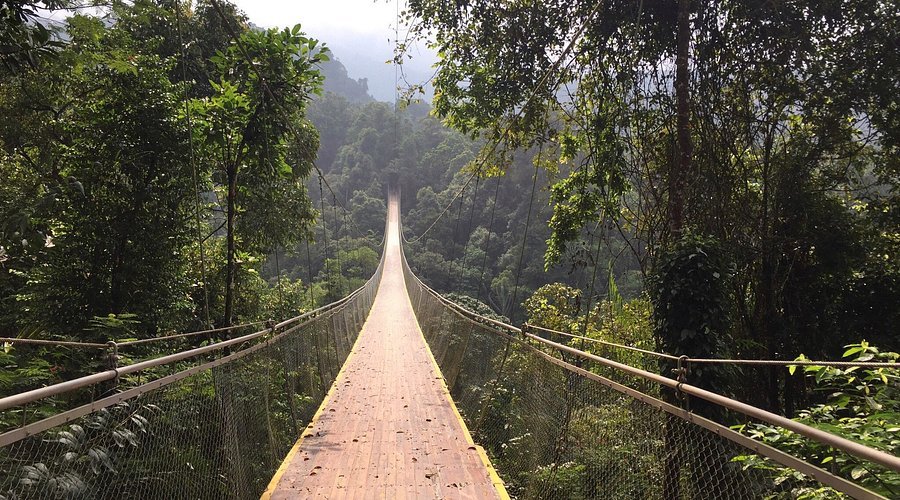 Jembatan Gantung Suspension Bridge 