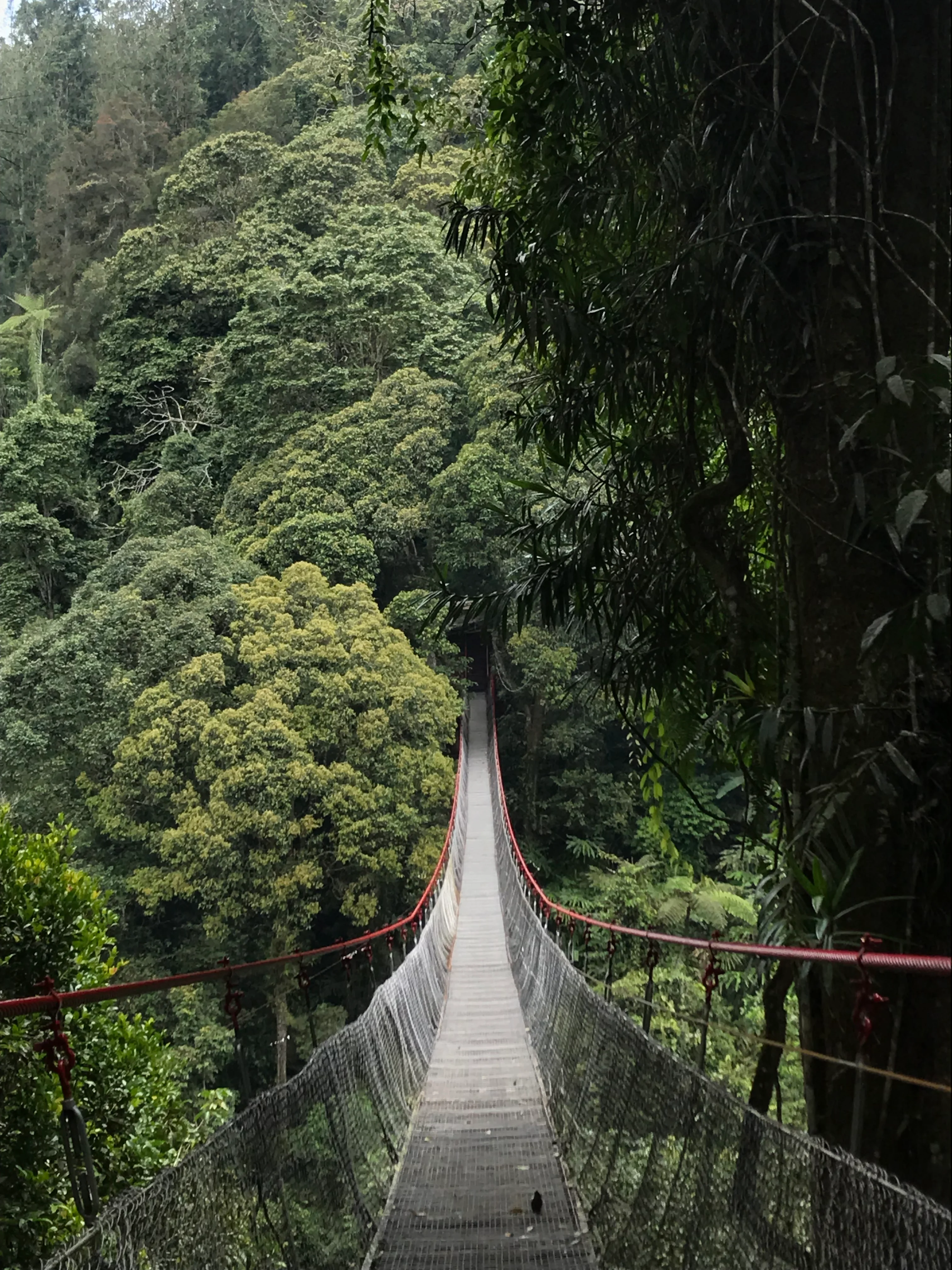 Jembatan Merah Situ Gunung