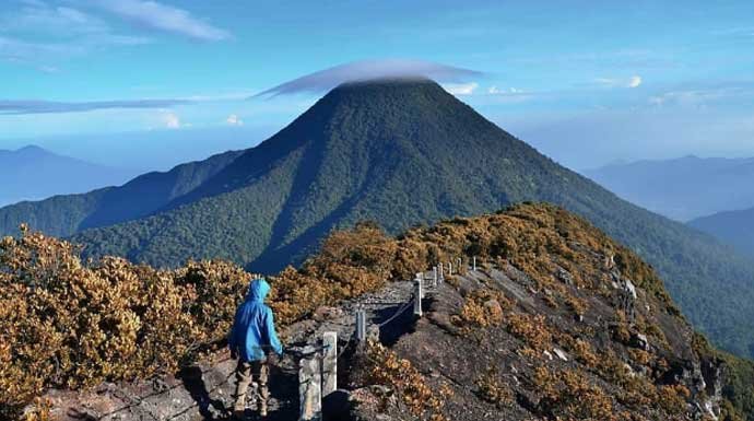 Menembus Kabut Selabintana Menuju Puncak Gunung Gede dan Gunung Pangrago